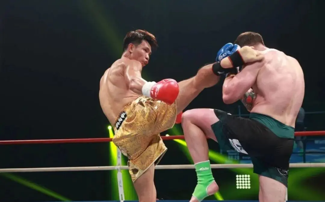 波兰猛将卡, artic, img