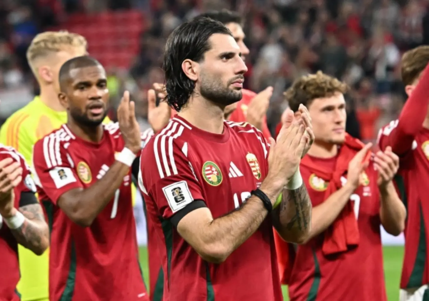 amp, 定影响 amp, 定影响