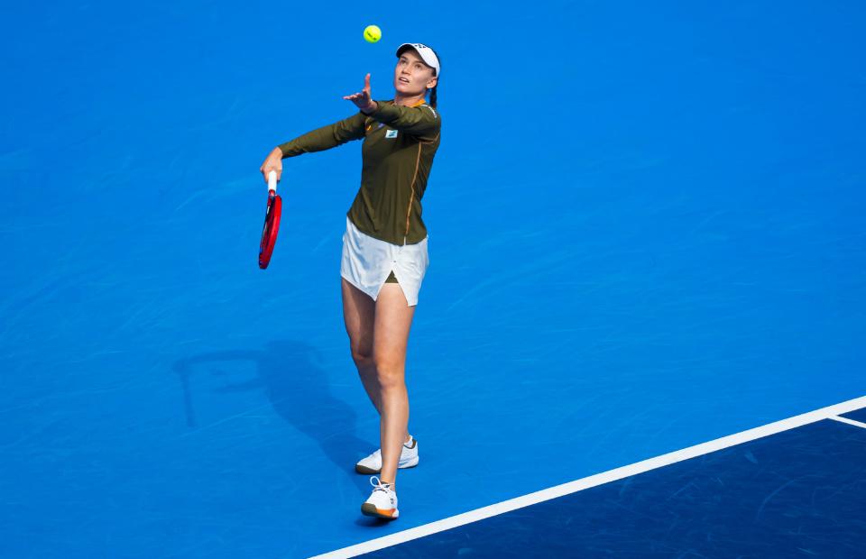 次交手各赢, 击败了费尔, 连赢 次交手各赢, 击败了费尔, 连赢